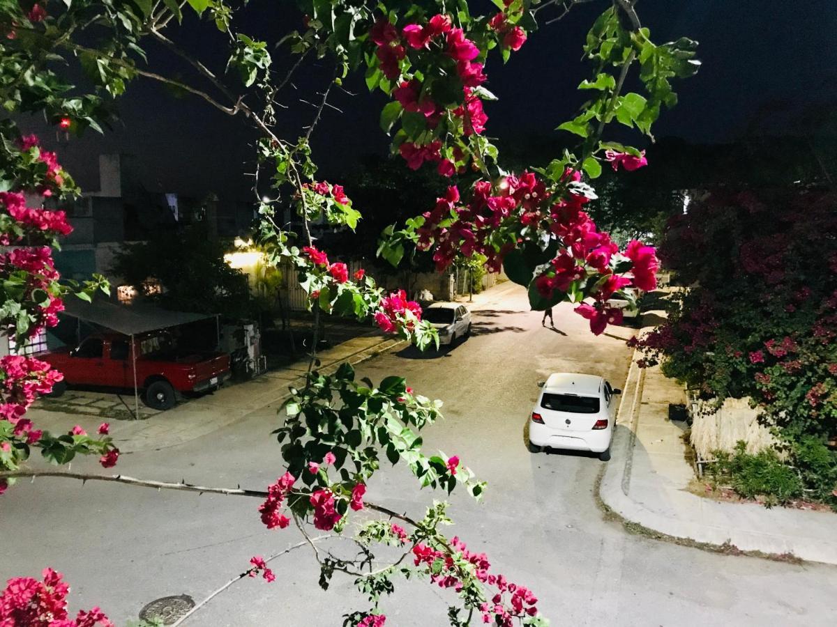 Cozy Tiny Studio Acasadialexplayadelcarmen Playa del Carmen Exterior photo